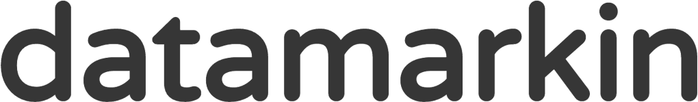 Datamarkin logo